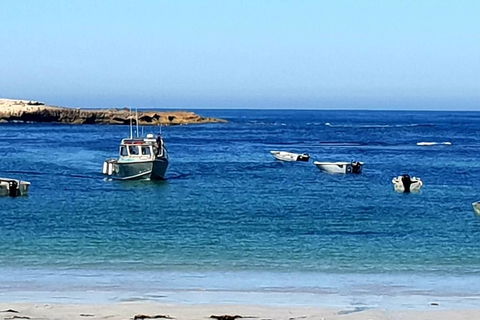 Rocks Retreat Cabin 3 - Lobster - Tourism Adelaide 2