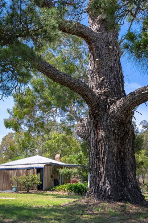 Rose Cottage - Tourism Adelaide 3