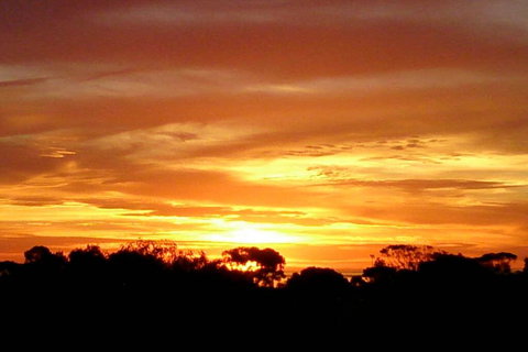 Sunsets, Sea, Wine - Tourism Adelaide 3