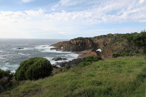 Tathra Hotel & Motel - Tourism Adelaide 1