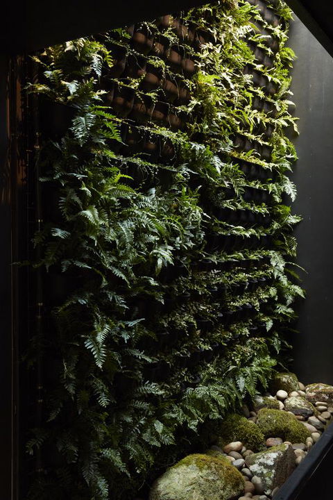 Moss Hotel - Tourism Adelaide 2