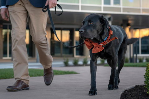 Peppers Silo - Tourism Adelaide 44