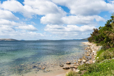 Litora Accommodation - Tourism Adelaide 27