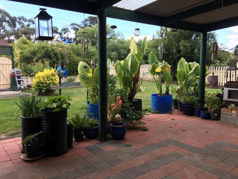 Blue Wren Bungalow - Tourism Adelaide 0