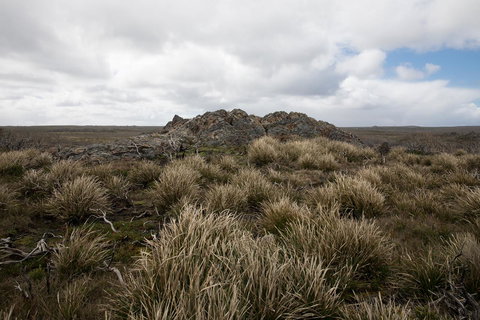 Arthur Riverfront And Sea Lodge Downstream - Tourism Adelaide 34