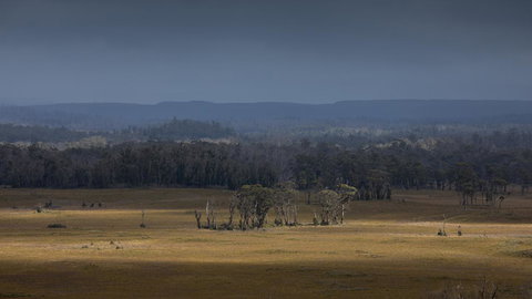 Arthur Riverfront And Sea Lodge Downstream - Tourism Adelaide 42