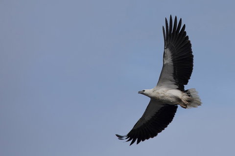 Arthur Riverfront And Sea Lodge Downstream - Tourism Adelaide 37