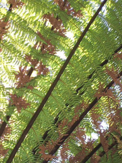 Arthur Riverfront And Sea Lodge Downstream - Tourism Adelaide 31