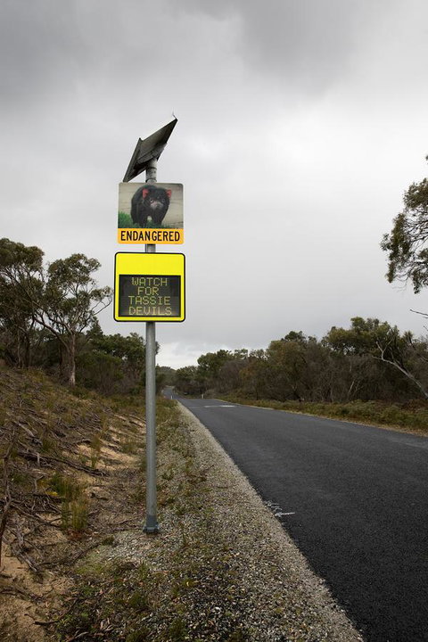 Arthur Riverfront And Sea Lodge Downstream - Tourism Adelaide 39