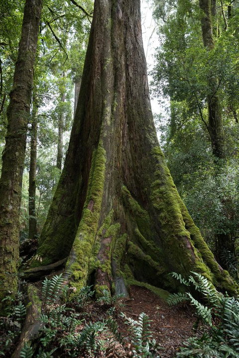 Arthur Riverfront And Sea Lodge Downstream - Tourism Adelaide 33