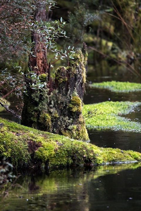 Arthur Riverfront And Sea Lodge Downstream - Tourism Adelaide 30