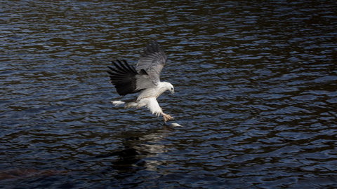 Arthur Riverfront And Sea Lodge Downstream - Tourism Adelaide 38