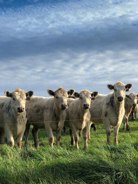 Arthur Riverfront And Sea Lodge Downstream - Tourism Adelaide 43