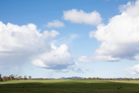 Arthur Riverfront And Sea Lodge Downstream - Tourism Adelaide 44