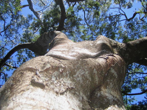 Arthur Riverfront And Sea Lodge Downstream - Tourism Adelaide 32