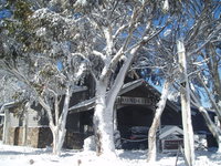 Book Dinner Plain Accommodation Vacations Tourism Adelaide Tourism Adelaide