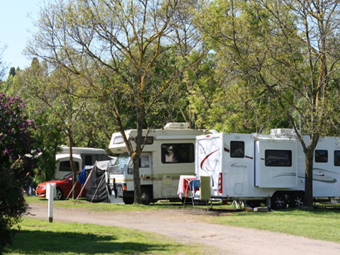 Tasman Holiday Parks - Geelong - Tourism Adelaide 21