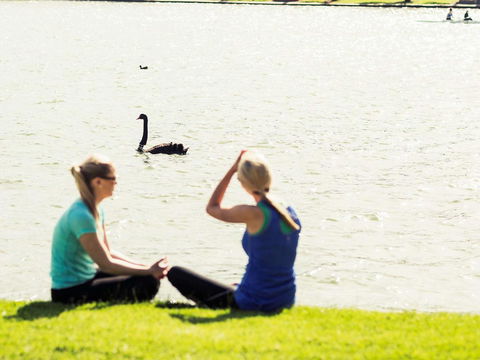 Mercure Melbourne Albert Park - Tourism Adelaide 39