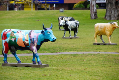 Quest Shepparton - Tourism Adelaide 12