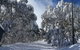 Maisonettes Falls Creek - thumb 17