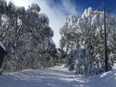 Maisonettes Falls Creek - Tourism Adelaide 17
