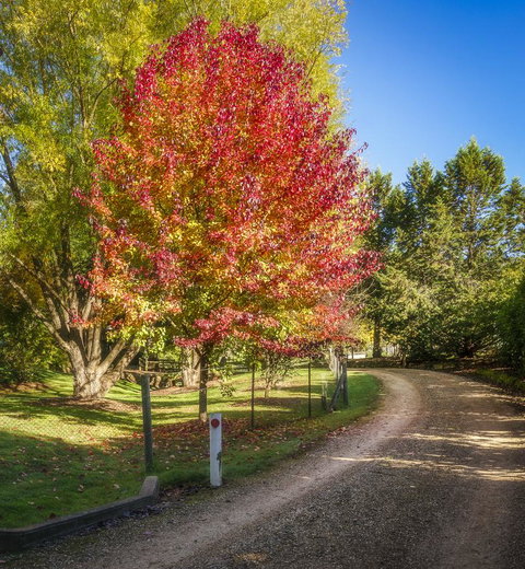 Bright Mystic Valley - Tourism Adelaide 23