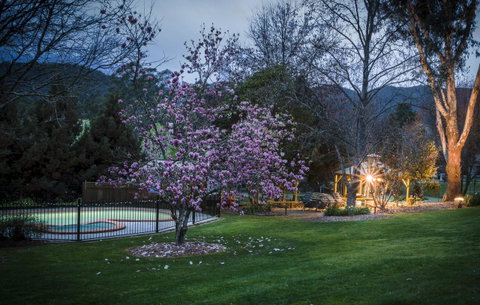 Bright Mystic Valley - Tourism Adelaide 26