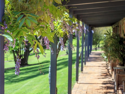 Bright Mystic Valley - Tourism Adelaide 22
