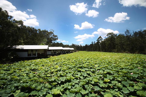 The Boathouses At Leaves & Fishes - Tourism Adelaide 0