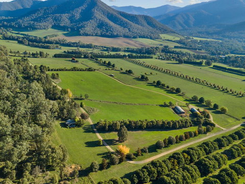 The Buckland Studios - Tourism Adelaide 3