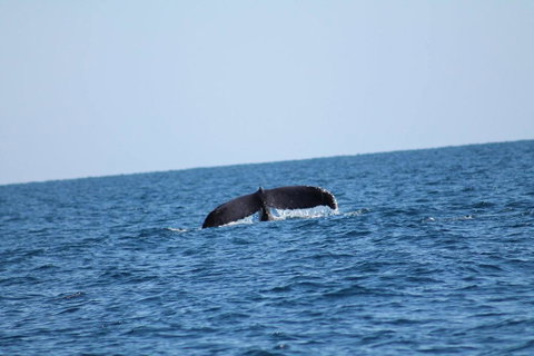 The Cove Holiday Village - Tourism Adelaide 1