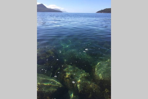 The Cove... On The Rocks At Port Arthur - Tourism Adelaide 3
