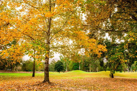 The Retreat At Wisemans - Tourism Adelaide 1