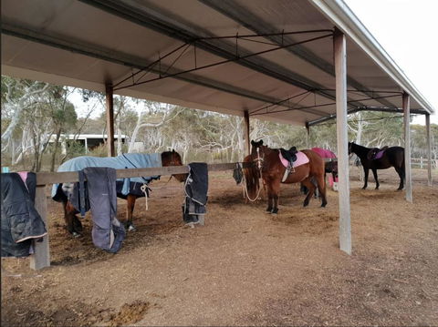 The Saddle Camp Tiny House, Braidwood - Tourism Adelaide 1