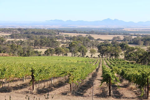The Sleeping Lady Private Retreat - Tourism Adelaide 1