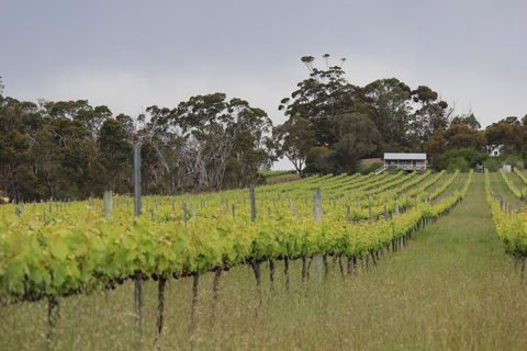 The Sleeping Lady Private Retreat - Tourism Adelaide 2