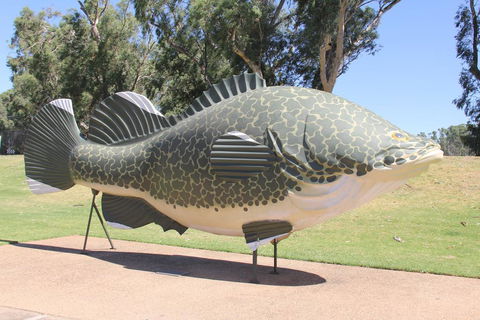 Tocumwal Hotel Motel (The Palms) - Tourism Adelaide 1