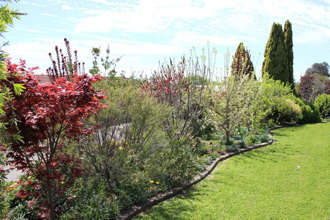 Top Of The Town Motel - Tourism Adelaide 2