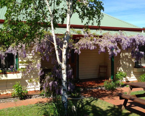 Triabunna Cabin & Caravan Park - Tourism Adelaide 1