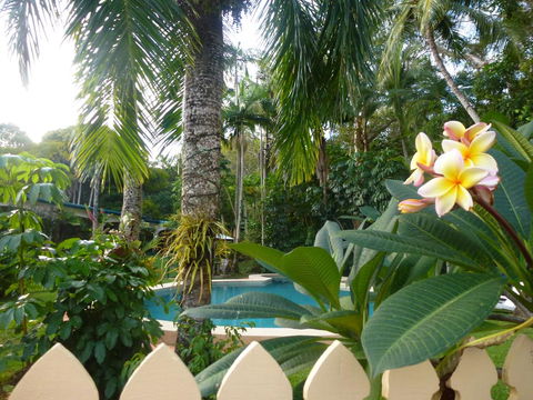 Villa Marine Holiday Apartments Cairns - Tourism Adelaide 1
