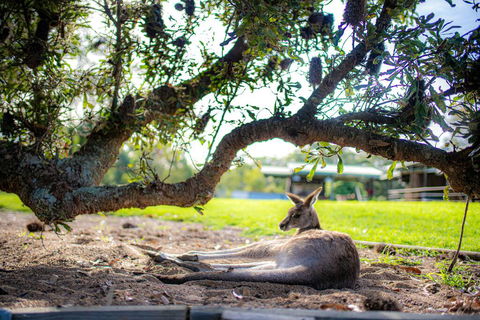 Waterfall Springs Retreat - Tourism Adelaide 1