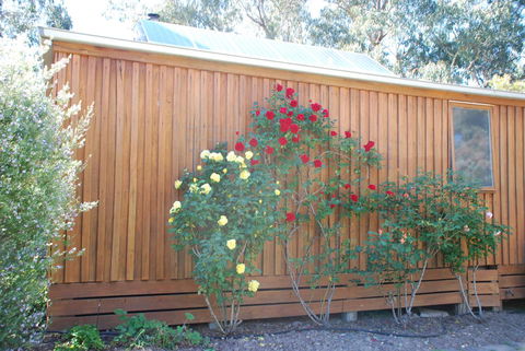 Bluegum Ridge Cottages - Tourism Adelaide 23