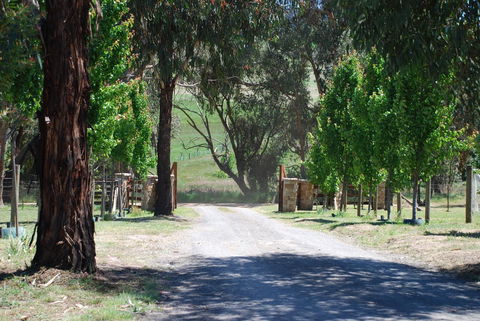 Bluegum Ridge Cottages - Tourism Adelaide 3