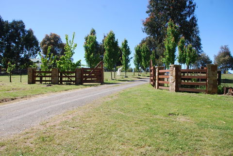 Bluegum Ridge Cottages - Tourism Adelaide 2