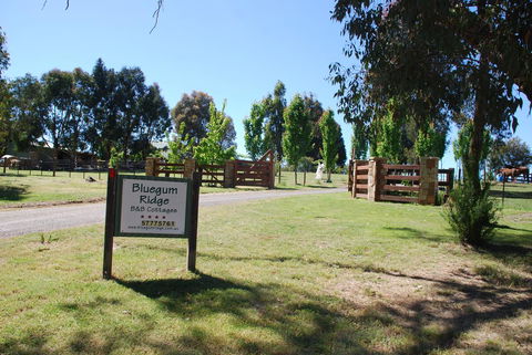 Bluegum Ridge Cottages - Tourism Adelaide 1