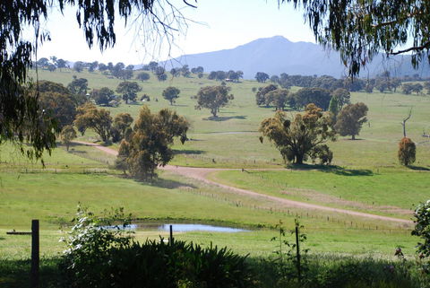 Bluegum Ridge Cottages - Tourism Adelaide 31