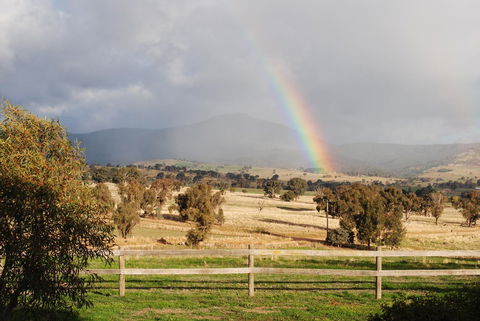 Bluegum Ridge Cottages - Tourism Adelaide 32