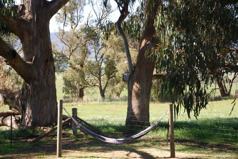 Bluegum Ridge Cottages - Tourism Adelaide 28