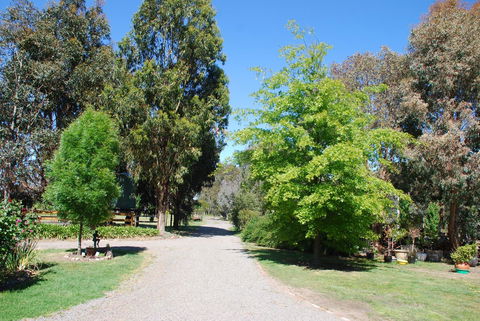 Bluegum Ridge Cottages - Tourism Adelaide 5