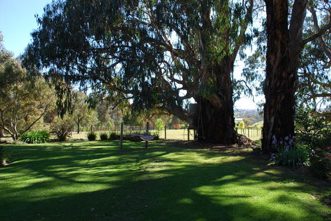 Bluegum Ridge Cottages - Tourism Adelaide 29